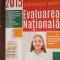 Limba si literatura romana. Evaluarea nationala 2015-A.N.Romonti, C.Topan, D.F.Basalic, E.A.Pop, L.Fetti