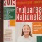 Limba si literatura romana. Evaluarea nationala 2015-A.N.Romonti, C.Topan, D.F.Basalic, E.A.Pop, L.Fetti