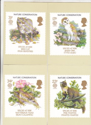 bnk cp Fauna - lot 4 carti postale necirculate * foto