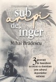 Cumpara ieftin Sub aripi de &icirc;nger