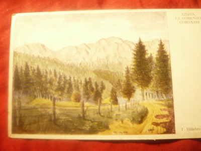 Ilustrata Pictura F.Hillebrand -1935 Azuga. La Domeniile Coroanei, necirc. foto