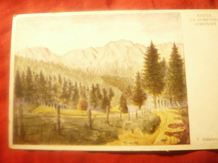 Ilustrata Pictura F.Hillebrand -1935 Azuga. La Domeniile Coroanei, necirc.