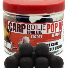 Haldorado - Carp Boilie Long Life Pop Up Black Squid 40g 16mm