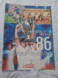 Poster steaua