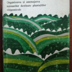 Organizarea si amenajarea terenurilor destinate plantatiilor vitipomicole- S.Popa, V.Ionescu, N.Blegu, T.Patrascoiu