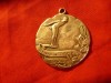 Medalie Sportiva argint Union Temple 1927 - inot , sarituri -,d= 3cm -sterling, Europa