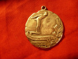 Medalie Sportiva argint Union Temple 1927 - inot , sarituri -,d= 3cm -sterling, Europa
