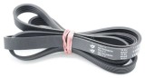 1199J5MA CUREA ELASTICA POLY-V-RIEMEN HUTCHINSON