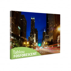 Tablou canvas fosforescent Night in Chicago, 60x40 cm foto