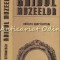 Ghidul Muzeelor - Aristide Stefanescu