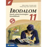 Irodalom 11. - Emelt szintű &eacute;retts&eacute;gire k&eacute;sz&uuml;lőknek - Pethőn&eacute; Nagy Csilla