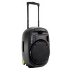 Boxa portabila Ibiza 700W, 2 microfoane, Bluetooth, VOX, model NOU