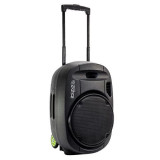Cumpara ieftin Boxa portabila Ibiza 700W, 2 microfoane, Bluetooth, VOX, model NOU