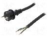 Cablu alimentare AC, 2m, 3 fire, culoare negru, cabluri, CEE 7/7 (E/F) mufa, SCHUKO mufa, PLASTROL - W-97217 foto