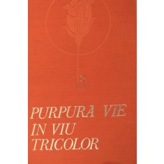 PURPURA VIE IN VIU TRICOLOR