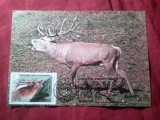 Maxima Romania 1988 Expozitia Filatelica din Siriu - Fauna - Cerb / Protejarea Mediului
