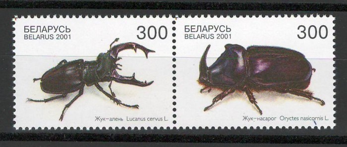 Belarus 2001 Mi 403/04 pair MNH - Gandaci