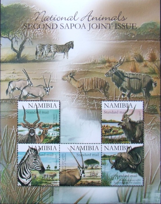 NAMIBIA-- FAUNA DIN REZERVATII-In coala mica-Neobliterata.NAM 07A