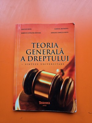 Teoria Generală a Dreptului - Sinteze Universitare - Costică Voicu, Gabriel Moineșcu, Domnica Cătălina Năstase, Adriana Camelia Voicu foto