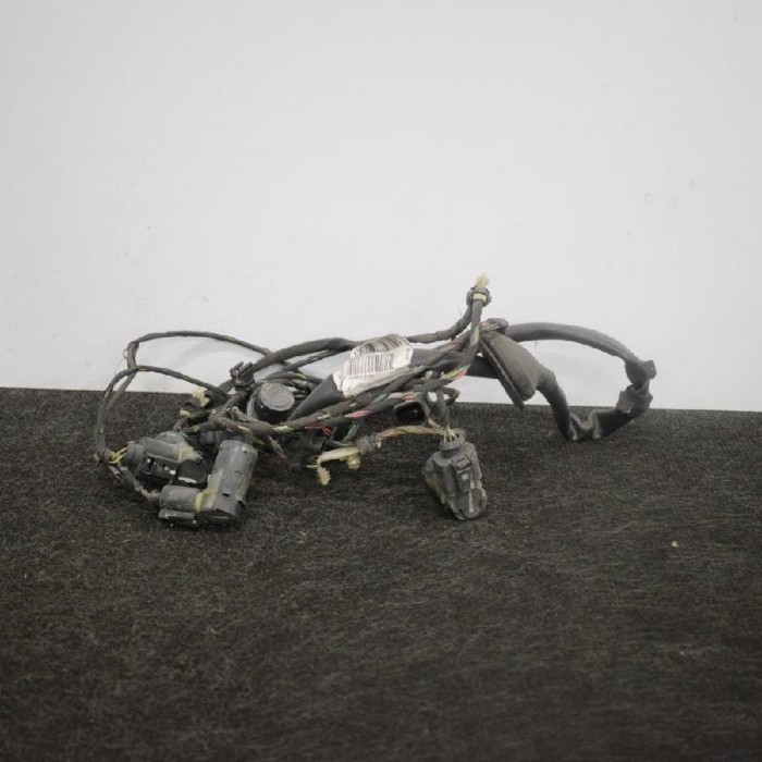 Set senzor de parcare spate AUDI A8 D3 4E2, 4E8 2009 OEM: 4E0971104AN 2740703