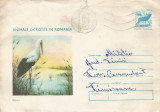 Romania, Animale ocrotite in Romania, Barza, plic circulat, 1977