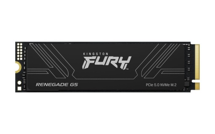 SSD Kingston Fury Renegade, 4TB, M2 PCI