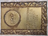 PLACHETA Concurs International de Natatie RPR-RDG , ANUL 1954