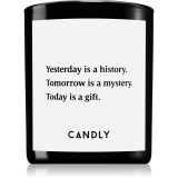 Candly &amp; Co. Yesterday is a history lum&acirc;nare parfumată 250 g