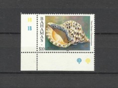 BAHAMAS 1996 FAUNA MARINA SCOICI foto