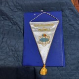 Fanion Fed. romana de Patinaj