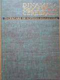 Dinamica Proceselor Cerebrale Incercare De Sinteza Dialectica - A.kreindler ,285575, ACADEMIEI ROMANE