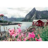 Puzzle 1000 piese - Scandinavian Places - Lofoten Norvegia | Ravensburger
