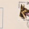 FDC CAINI
