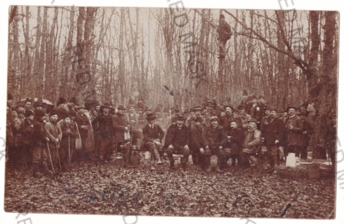 4843 - ORADEA, Hunting, Vanatoare Romania - old postcard real PHOTO - used 1913
