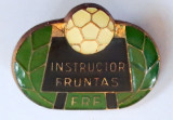 FRF - INSTRUCTOR FRUNTAS
