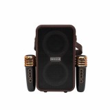 Boxa portabila cu lumini LED si 2 microfoane incluse pentru karaoke si petreceri