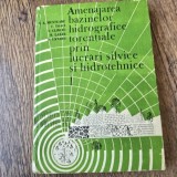 Amenajarea bazinelor hidrografice torentiale prin lucrari silvice si hidrotehnice - N.A. Munteanu vol.I