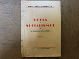 ROBIA SI SOCIALISMUL-C.DOBROGEANU-GHEREA