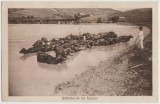 SV * Sibiu Hermannschtadt * Turma de Bivolite in apa, Circulata, Necirculata, Fotografie, Printata