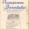 HST Z82 Primăvara Banatului 1/1929 Lugoj