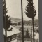 CPIB 19937 CARTE POSTALA - PEISAJ LA COLIBITA
