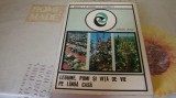 Groza / Voinea / Lazarescu- Legume , pomi si vita de vie pe langa casa - 1976