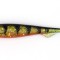 Shad Fox Rage Slick Shad Ultra UV Perch 7cm