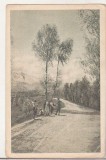 bnk cp Spre Bucegi - Vedere - circulata 1961 - marca fixa