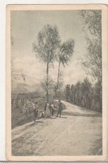 bnk cp Spre Bucegi - Vedere - circulata 1961 - marca fixa foto
