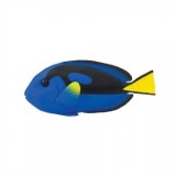 Peste chirurg regal