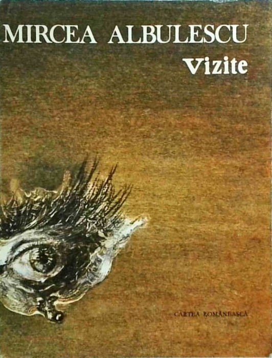 Mircea Albulescu - Vizite
