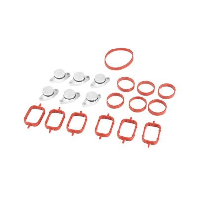 Kit reparatie clapete galerie admisie 6 dopuri 22mm BMW 2.0D/2.5D/3.0D foto