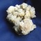 Specimen minerale - BARITINA (C8)