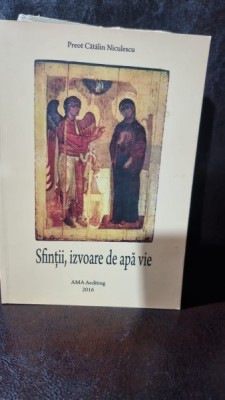 Sfintii, izvoare de apa vie - Preot Catalin Niculescu foto